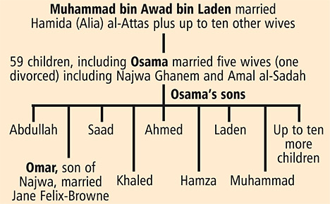 osama bin laden family tree. Some of Usama bin Laden#39;s